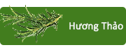 Hương Thảo