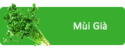 Mùi Già